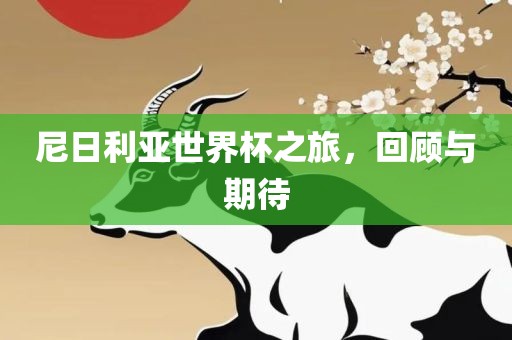 尼日利亚世界杯之旅，回顾与期待