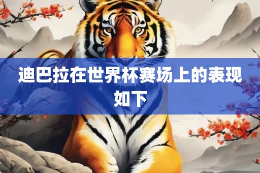 迪巴拉在世界杯赛场上的表现如下