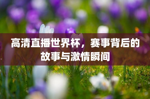 高清直播世界杯，赛事背后的故事与激情瞬间