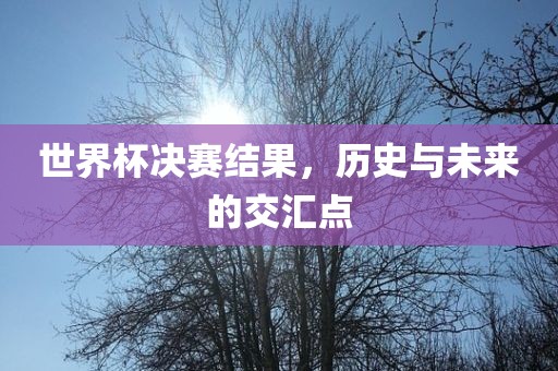 世界杯决赛结果，历史与未来的交汇点