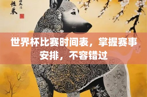 世界杯比赛时间表，掌握赛事安排，不容错过