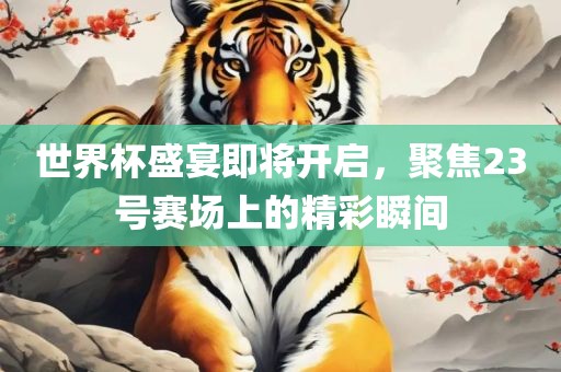 世界杯盛宴即将开启，聚焦23号赛场上的精彩瞬间