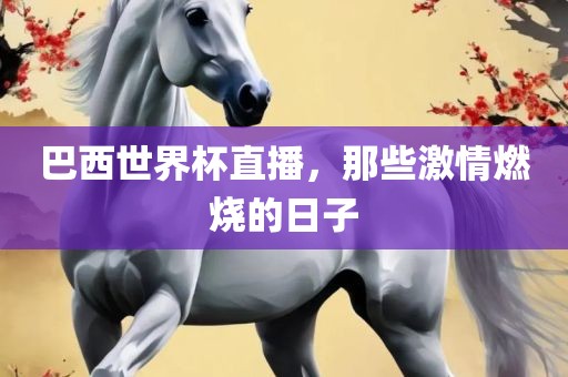 巴西世界杯直播，那些激情燃烧的日子