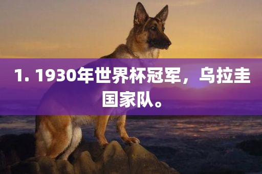1. 1930年世界杯冠军，乌拉圭国家队。