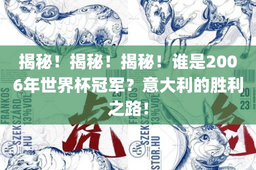 揭秘！揭秘！揭秘！谁是2006年世界杯冠军？意大利的胜利之路！
