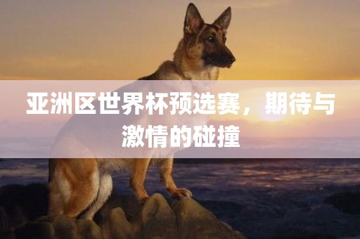 亚洲区世界杯预选赛，期待与激情的碰撞