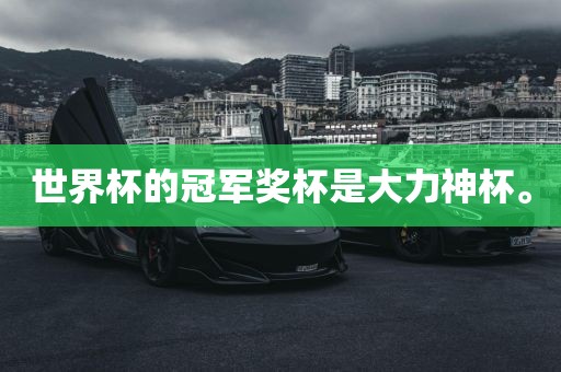 世界杯的冠军奖杯是大力神杯。