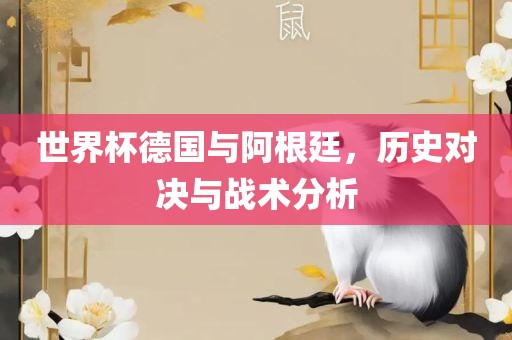 世界杯德国与阿根廷，历史对决与战术分析