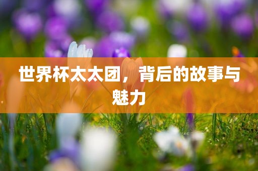 世界杯太太团，背后的故事与魅力