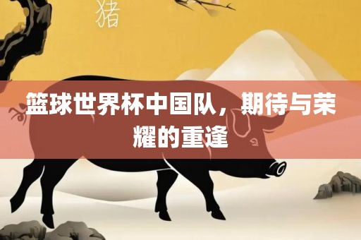 篮球世界杯中国队，期待与荣耀的重逢