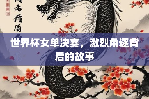 世界杯女单决赛，激烈角逐背后的故事
