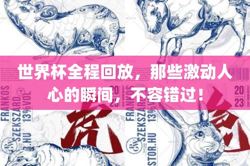 世界杯全程回放，那些激动人心的瞬间，不容错过！