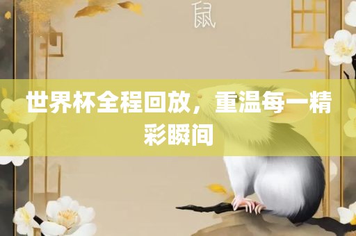 世界杯全程回放，重温每一精彩瞬间