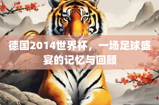 德国2014世界杯，一场足球盛宴的记忆与回顾
