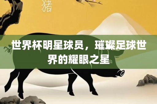 世界杯明星球员，璀璨足球世界的耀眼之星