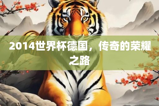 2014世界杯德国，传奇的荣耀之路