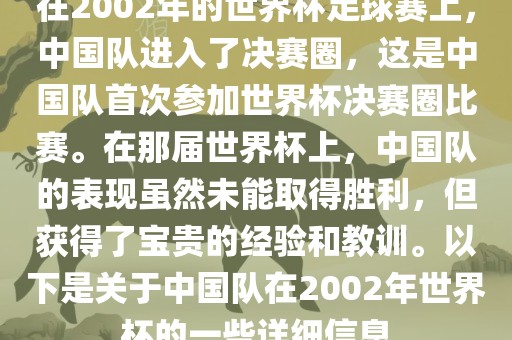 在2002年的世界杯足球赛上，中国队进入了决赛圈，这是中国队首次参加世界杯决赛圈比赛。在那届世界杯上，中国队的表现虽然未能取得胜利，但获得了宝贵的经验和教训。以下是关于中国队在2002年世界杯的一些详细信息