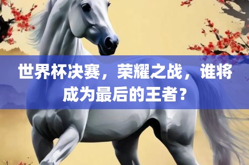 世界杯决赛，荣耀之战，谁将成为最后的王者？