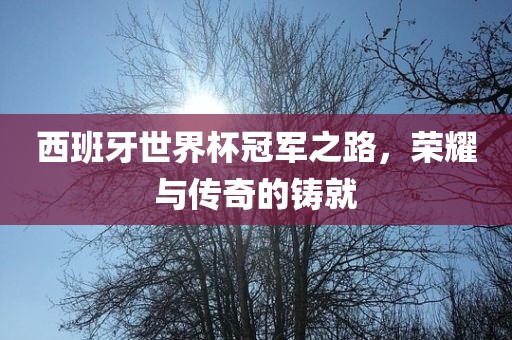 西班牙世界杯冠军之路，荣耀与传奇的铸就