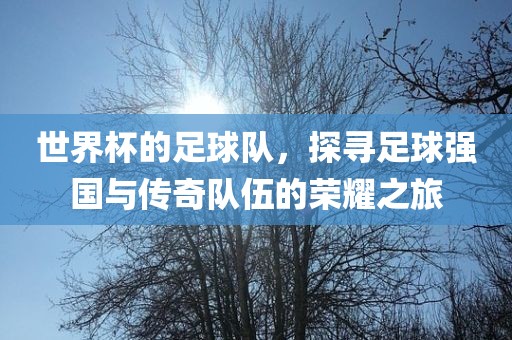 世界杯的足球队，探寻足球强国与传奇队伍的荣耀之旅