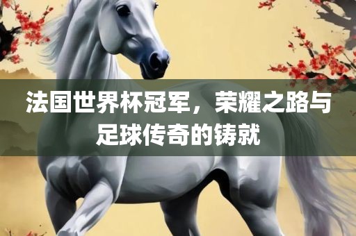 法国世界杯冠军，荣耀之路与足球传奇的铸就