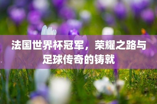 法国世界杯冠军，荣耀之路与足球传奇的铸就
