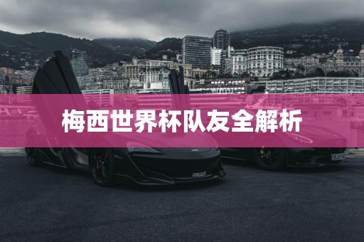 梅西世界杯队友全解析