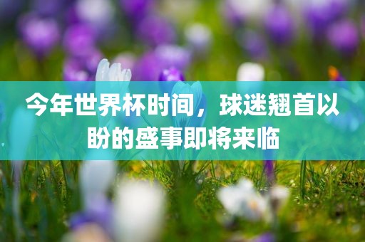 今年世界杯时间，球迷翘首以盼的盛事即将来临