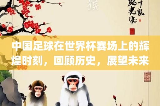 中国足球在世界杯赛场上的辉煌时刻，回顾历史，展望未来