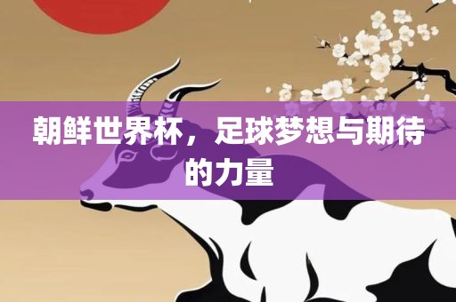 朝鲜世界杯，足球梦想与期待的力量