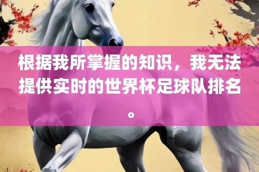 根据我所掌握的知识，我无法提供实时的世界杯足球队排名。