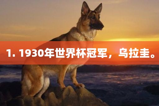 1. 1930年世界杯冠军，乌拉圭。