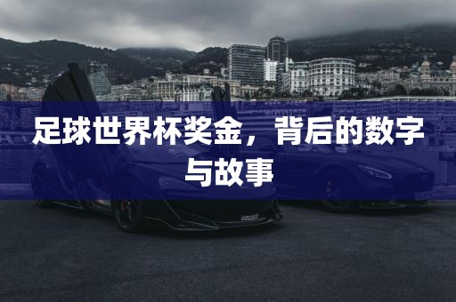 足球世界杯奖金，背后的数字与故事