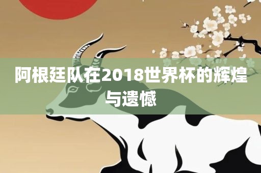 阿根廷队在2018世界杯的辉煌与遗憾