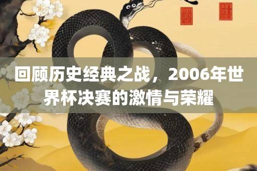 回顾历史经典之战，2006年世界杯决赛的激情与荣耀