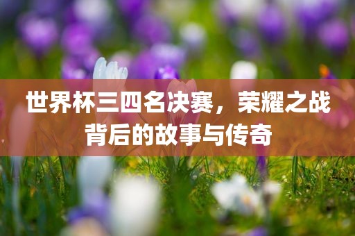 世界杯三四名决赛，荣耀之战背后的故事与传奇