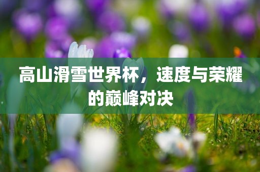 高山滑雪世界杯，速度与荣耀的巅峰对决