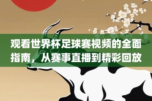 观看世界杯足球赛视频的全面指南，从赛事直播到精彩回放