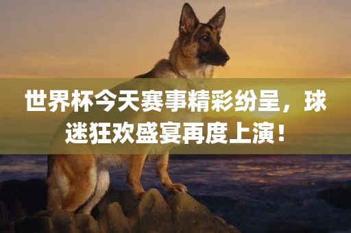 世界杯今天赛事精彩纷呈，球迷狂欢盛宴再度上演！
