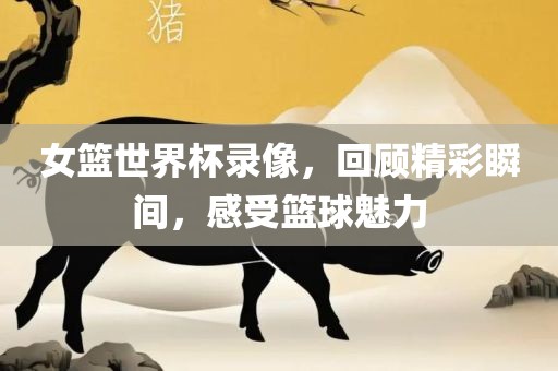女篮世界杯录像，回顾精彩瞬间，感受篮球魅力