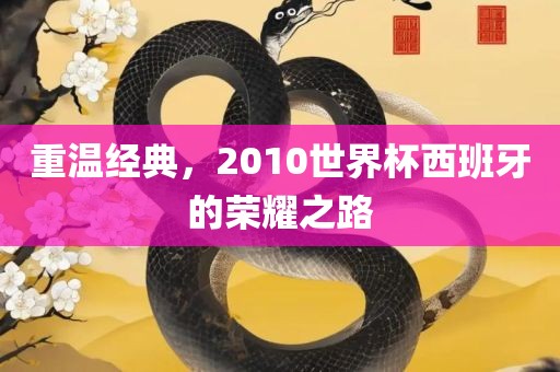 重温经典，2010世界杯西班牙的荣耀之路