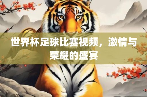 世界杯足球比赛视频，激情与荣耀的盛宴