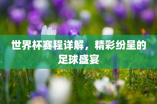 世界杯赛程详解，精彩纷呈的足球盛宴