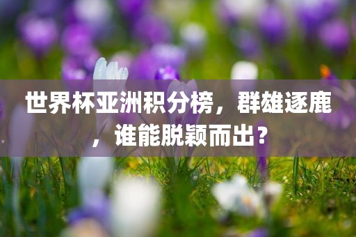 世界杯亚洲积分榜，群雄逐鹿，谁能脱颖而出？