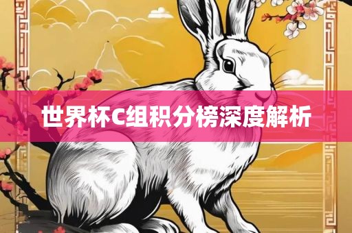 世界杯C组积分榜深度解析