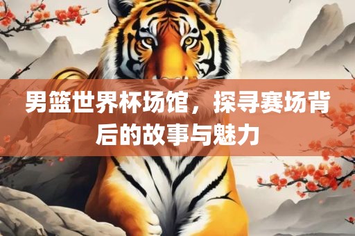 男篮世界杯场馆，探寻赛场背后的故事与魅力