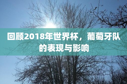 回顾2018年世界杯，葡萄牙队的表现与影响