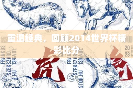 重温经典，回顾2014世界杯精彩比分