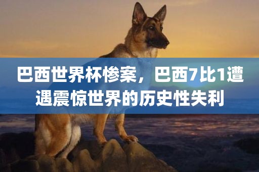 巴西世界杯惨案，巴西7比1遭遇震惊世界的历史性失利