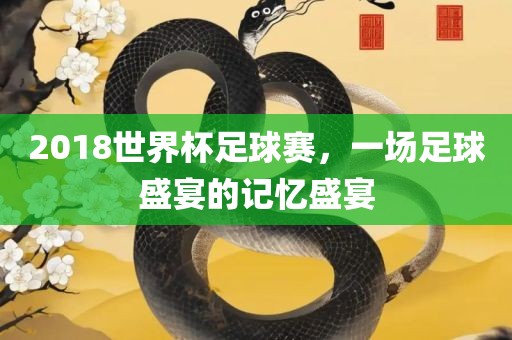 2018世界杯足球赛，一场足球盛宴的记忆盛宴